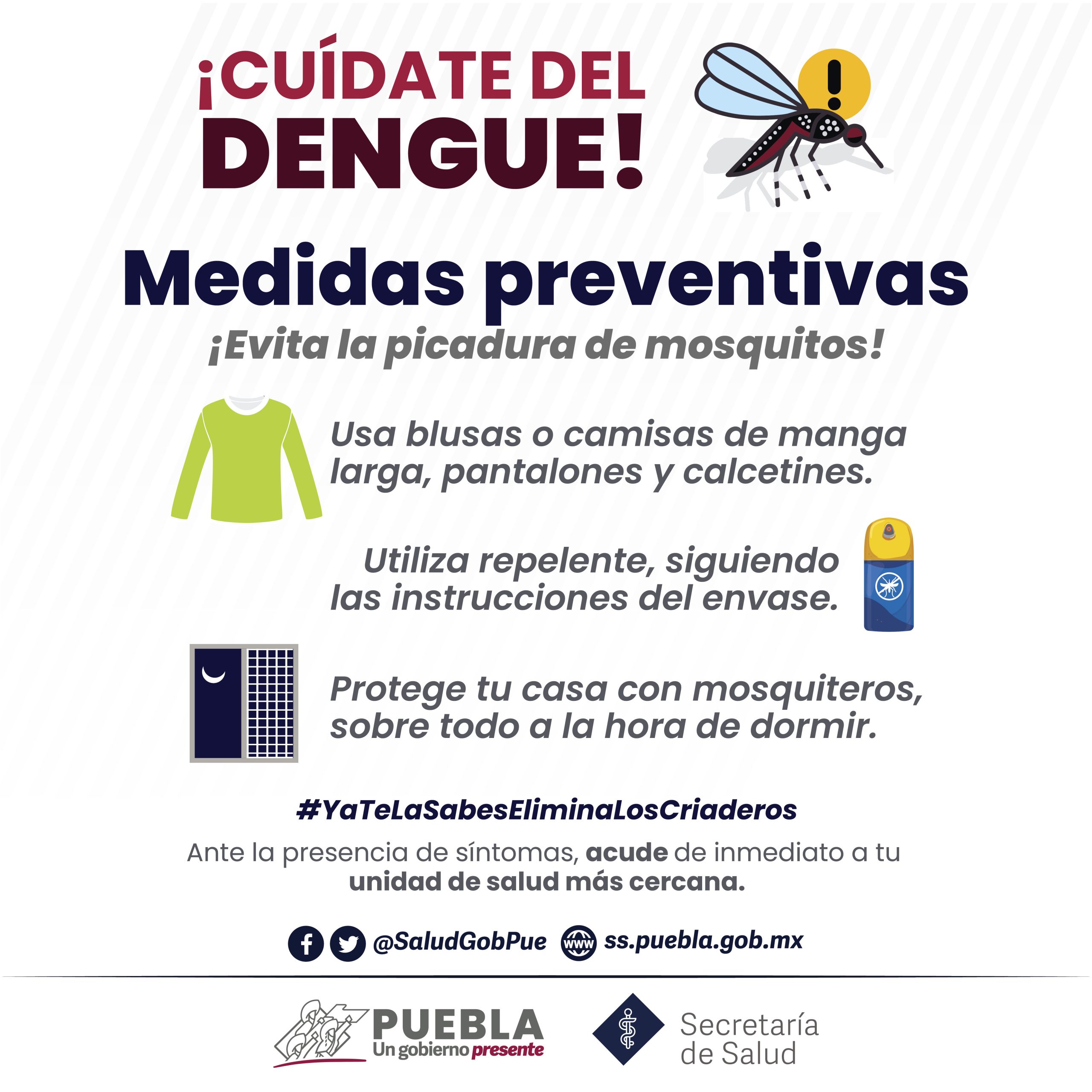 Tehuacán e Izúcar, municipios con más casos de dengue: Salud