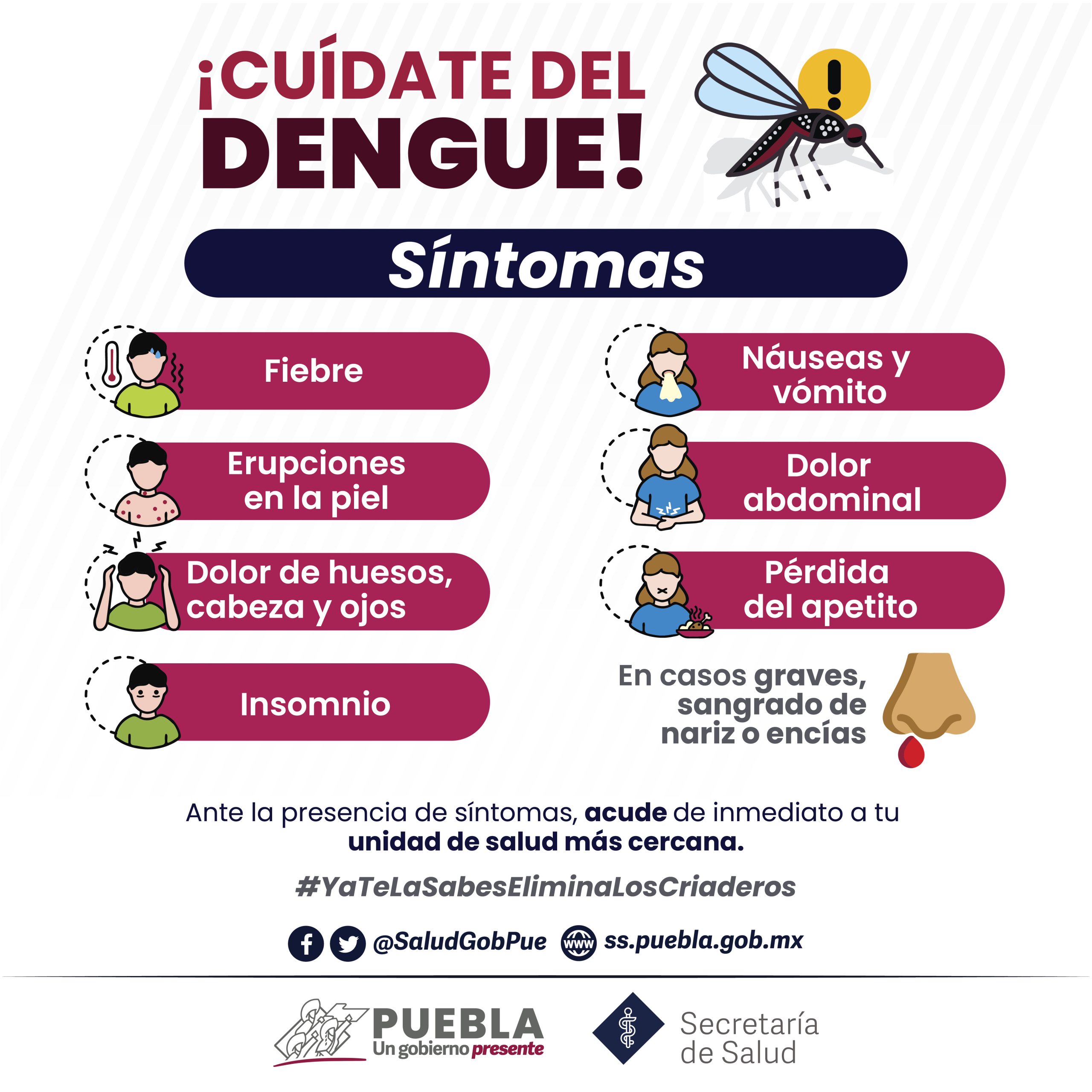 Descarta Salud defunciones por dengue en la entidad