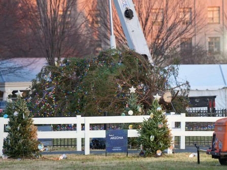 ‘Aironazo’ derriba el árbol de Navidad de la Casa Blanca