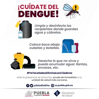 Suma Puebla 13 nuevos casos de dengue: Salud