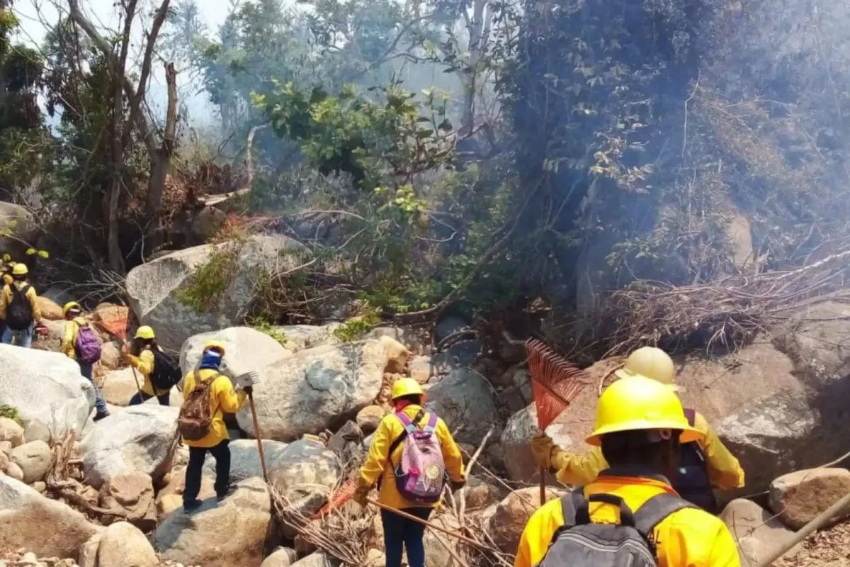 Incendios forestales provocan suspensión de clases en Guerrero