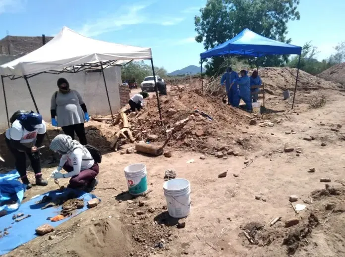 Localizan fosa clandestina en Sonora; los restos son de al menos 50 personas