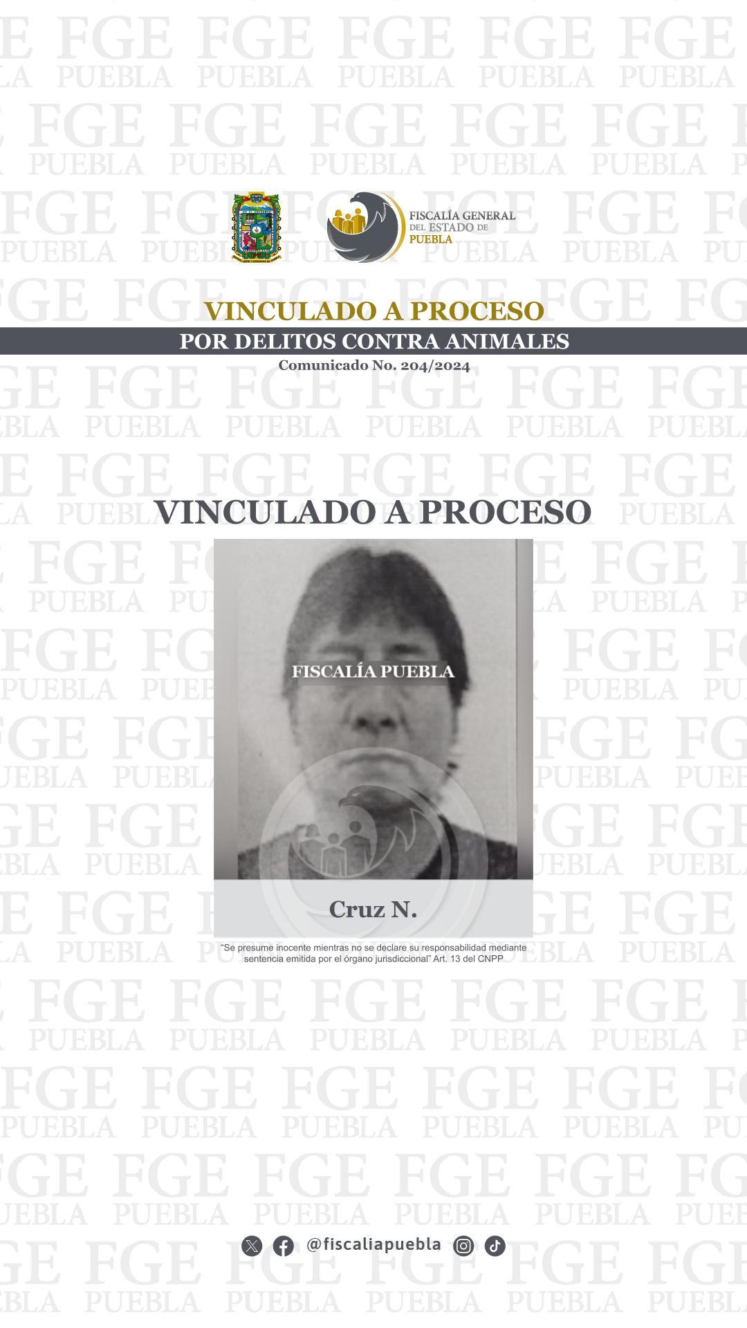 Vinculado a proceso por delitos contra animales