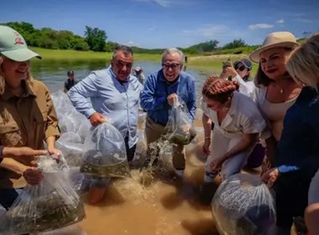 Rubén Rocha fortalece en Sinaloa la pesca comercial y deportiva con 24.5 millones de alevines