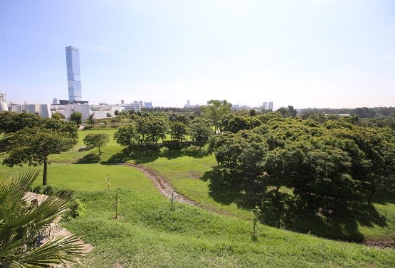 Parques seguros y dignos para el bienestar de poblanas y poblanos