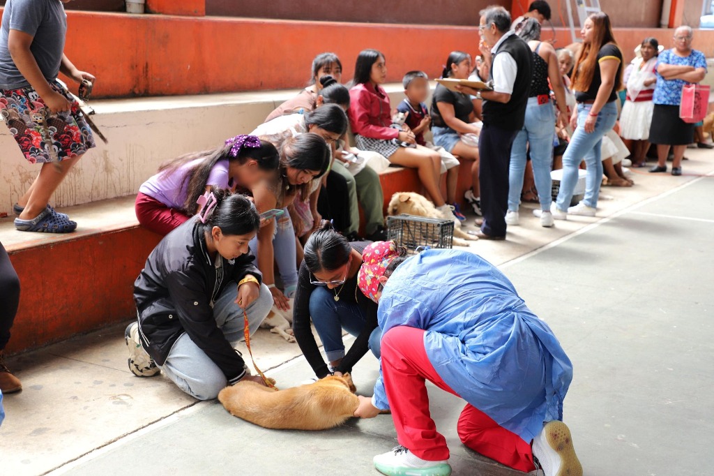 Puebla impulsa protección y bienestar animal en Ixtepec