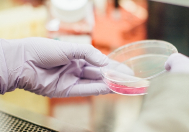 El trasplante fecal supera a los antibióticos en las infecciones bacterianas