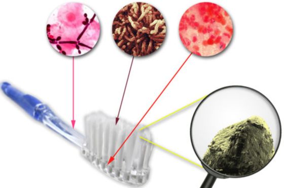 Objetos cotidianos que esconden bacterias en casa y cómo prevenir riesgos