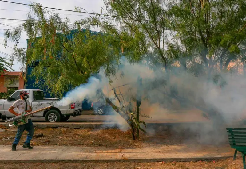 Dengue sigue en aumento; en una semana confirman 375 casos más