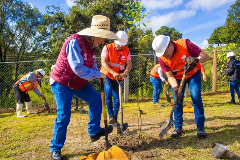 Gobierno de la Ciudad realiza acciones de producción de composta para reforestación en Puebla