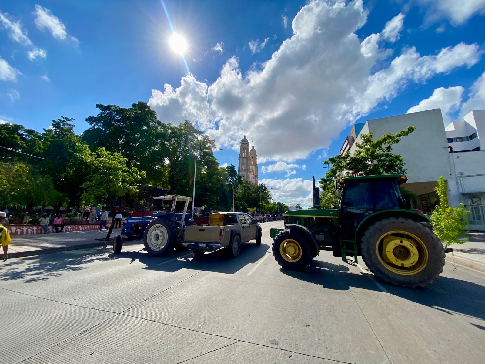 El maíz que se produce en México, no está catalogado como transgénico