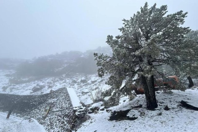 Cofre de Perote se pinta de blanco con segunda nevada