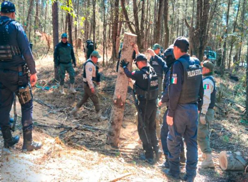 Con operativo interestatal fueron asegurados más de 90 troncos de madera