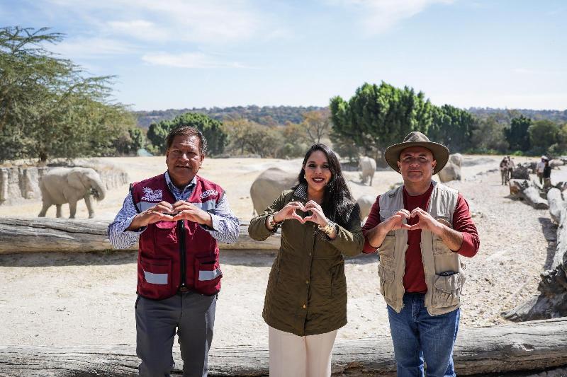 Entrega Tonantzin Fernández 270 árboles navideños naturales a Africam Safari