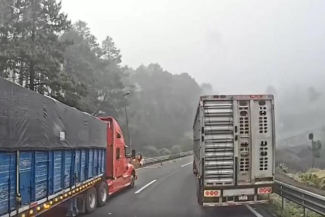 Comando se hace pasar por cuadrilla de mantenimiento y roba camión con ganado en Veracruz