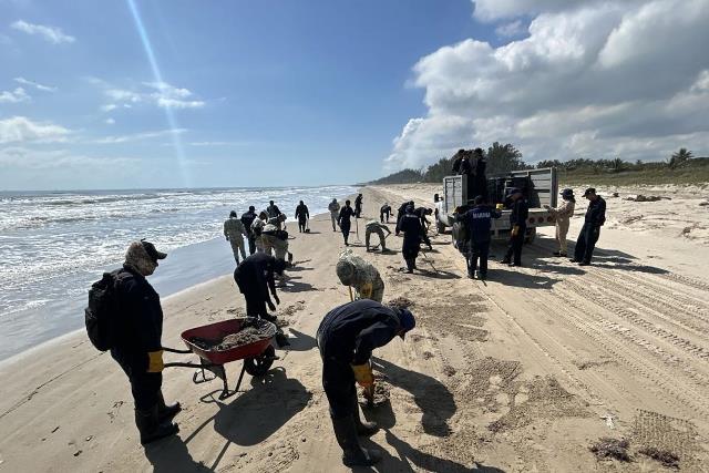 Despliegan más de 2 mil 450 elementos por presencia de hidrocarburo en costas del Golfo
