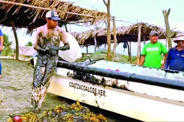 Ambientalistas alertan por impacto económico del derrame petrolero en costas del Golfo
