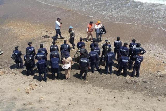 Playas de Veracruz son aptas para vacacionar en Semana Santa: SEMARNAT