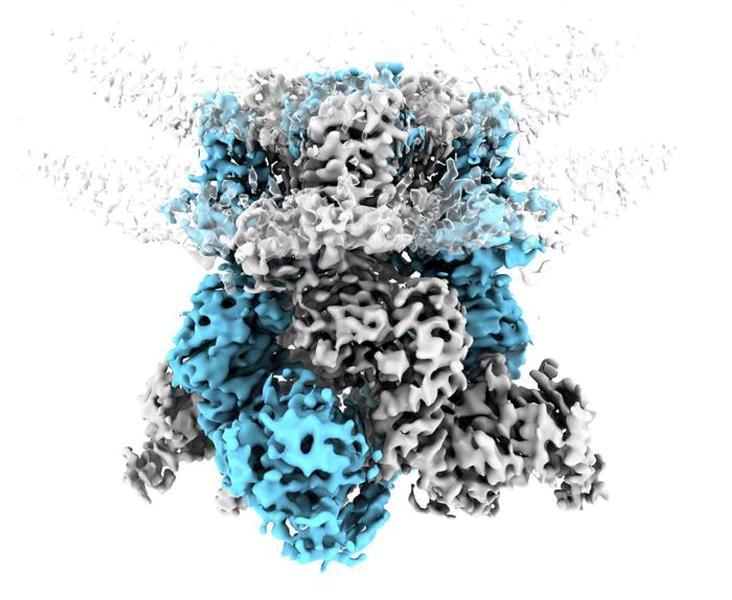 Científicos logran que deje de ser un misterio cómo percibe el cuerpo el frío