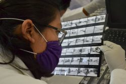 Busca la BUAP dar más oportunidades de acceso a la educación: Rectora Lilia Cedillo