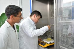 Estudiantes proponen reactor híbrido para producir biogás y biodiésel