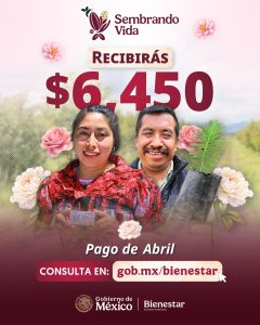 Realiza Sembrando Vida el pago del jornal a 415 mil 499 sembradoras y sembradores del país