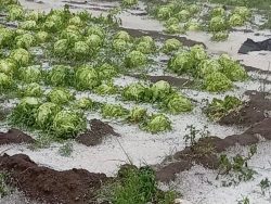 Gobierno del Estado supervisa afectaciones por granizada en municipios de Región Izta-Popo