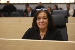 Plantea la diputada Luana Amador el retiro de obstáculos en vía pública para garantizar el tránsito de personas con discapacidad