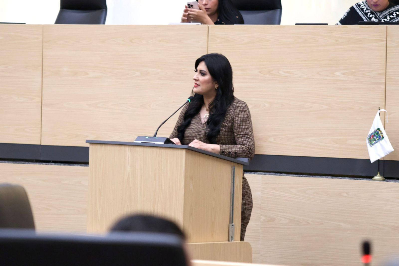 Delfina Pozos propone garantizar que decisiones improvisadas no sigan afectando la educación de niñas y niños poblanos
