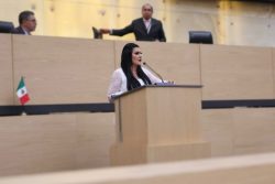 Delfina Pozos rechaza concesión de paraderos por 10 años; “no seré cómplice de un mal negocio que solo abusa de los ciudadanos sin beneficios alguno, mi voto es en contra”, advierte.