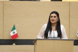 Presenta Delfina Pozos exhorto para construir e implementar una estrategia de seguridad