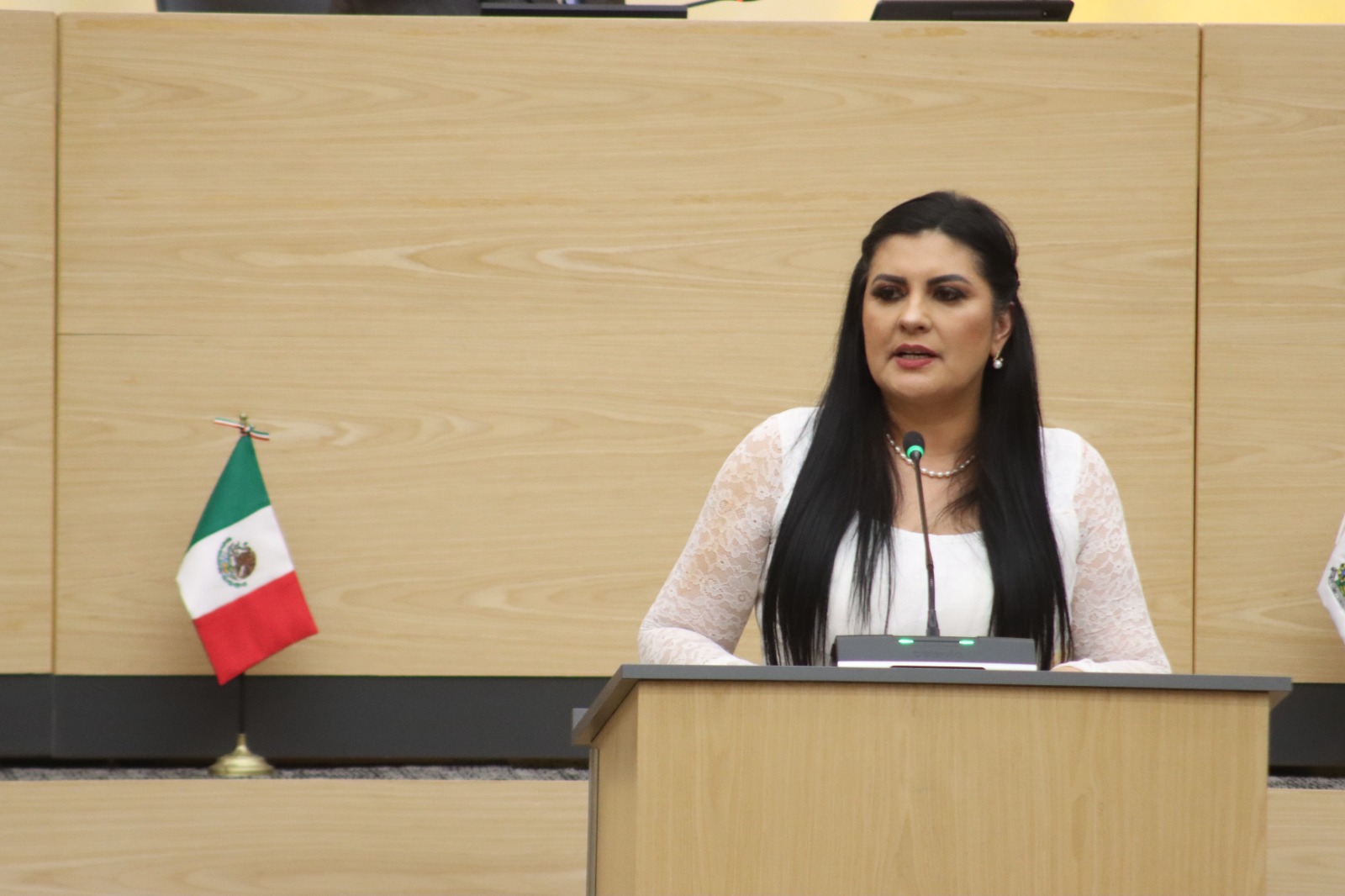Presenta Delfina Pozos exhorto para construir e implementar una estrategia de seguridad