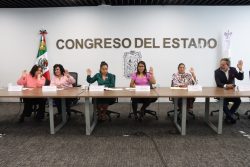 Aprueba Comisión del Congreso reformas para incorporar el principio pro-persona en la actuación de las entidades públicas
