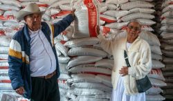 Programa Fertilizantes para el Bienestar 2026 ha repartido insumos a más de un millón de productoras y productores de cultivos prioritarios