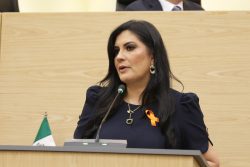 Plantea Delfina Pozos que prestadores de servicios de agua y alcantarillado asuman el costo por daños a la vía pública