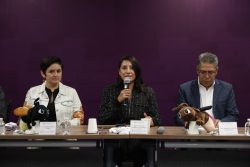 Desde el Congreso del Estado, invitan a vivir la experiencia del avistamiento de luciérnagas