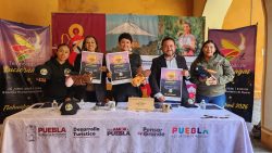 Inicia temporada de avistamiento de luciérnagas en Tlahuapan