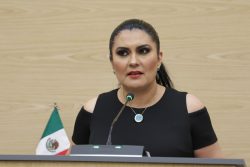 Propone Delfina Pozos acciones de accesibilidad administrativa para personas con discapacidad