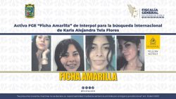 Activa FGE “Ficha Amarilla” de Interpol para la búsqueda internacional de Karla Alejandra Tela Flores