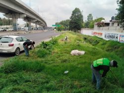 Gobierno de Puebla realiza labores de mantenimiento en acceso a La María