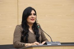 Propone diputada Delfina Pozos aumentar sanciones por robo y abuso de confianza contra personas indígenas y afromexicanas