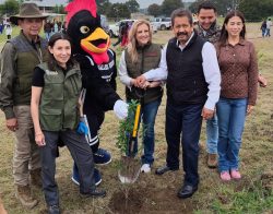 Asegura Gobierno del Estado reforestaciones con impacto duradero