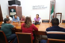 Avanza fortalecimiento del sorgo poblano con apoyos a productores de Tepexco