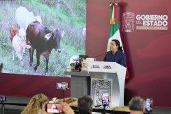 Puebla intensifica combate al gusano barrenador con vigilancia, capacitación y prevención