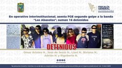 En operativo interinstitucional, asesta FGE segundo golpe a la banda “Los Abasolos”; suman 16 detenidos