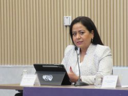 CELILA BONAGA PROPONEN REFORMA PARA FORTALECER PROTECCIÓN DE MENORES EN SITUACIÓN DE VULNERABILIDAD