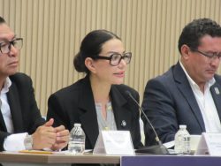 NAYELI SALVATORI AFIRMA QUE NO BUSCA POLITIZAR CASO DE ARIANA FERRERIZ Y EXIGE APEGO A LA LEY