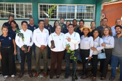 Diputado Pável Gaspar promueve jornadas de reforestación en San Juan Epatlán y Chiautla de Tapia