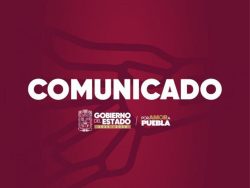 Fuerzas de seguridad brindan atención inmediata tras agresión a autobús sobre la autopista Puebla-Orizaba
