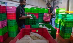 Leche para el Bienestar llega ya a 7.5 millones de beneficiarias y beneficiarios, con precio preferencial en la compra del lácteo